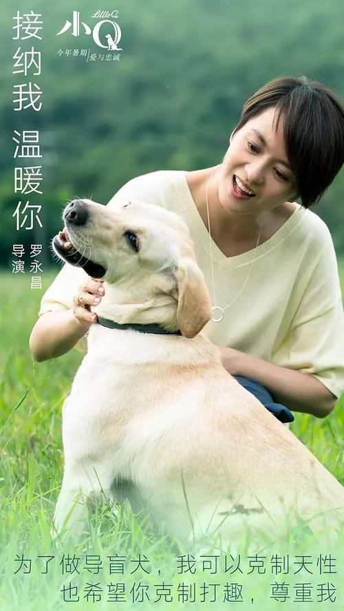 怎么做假昆士兰大学文凭毕业证